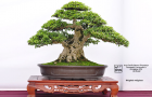 Một số hình ảnh tại Triễn lãm ABFF 2015 tại Việt Nam Phần 3