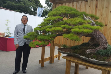 Bonsai Đài Loan 2017 (BCI) Phần 1