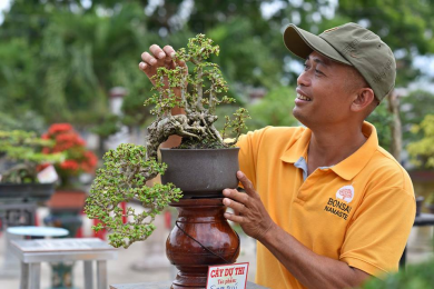 Triển lãm SVC huyện Mộ Đức - Quảng Ngãi