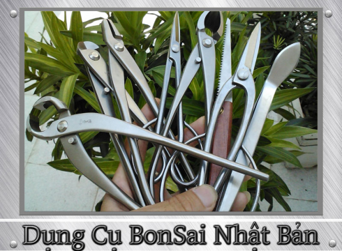 Dụng cụ Bonsai