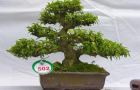 DSCN2573