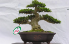 DSCN2576