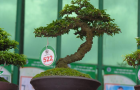 DSCN2587