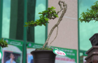 DSCN2596