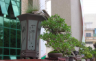DSCN2601