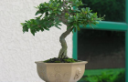 DSCN2602