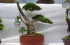 DSCN2821
