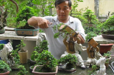 Một số tác phẩm Bonsai của Nghệ Nhân LnVinh