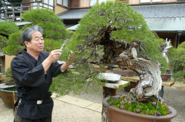 Nghệ nhân Kobayashi giao lưu demo bonsai tại Việt Nam