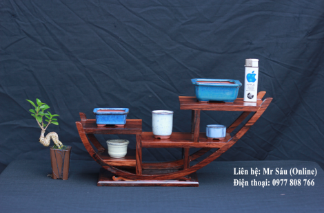 Bộ 5 chậu Bonsai mini T45