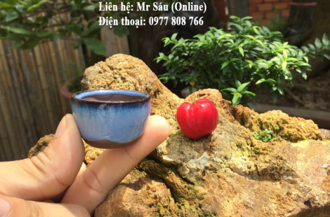 Chậu siêu mini tròn