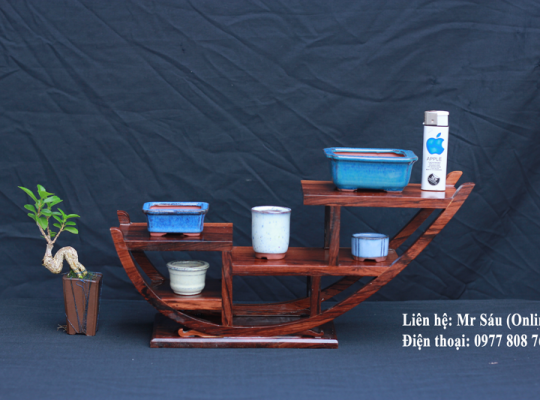 Bộ 5 chậu Bonsai mini T45