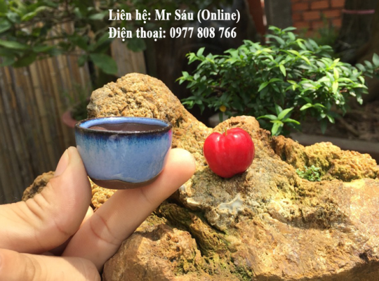 Chậu siêu mini tròn