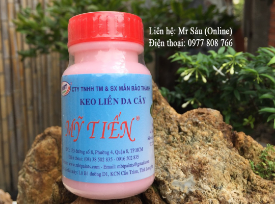 Keo liền da cây Mỹ Tiến