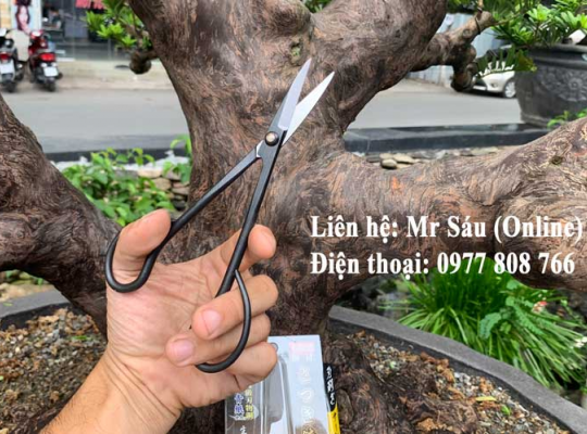 Kéo tỉa Nhật Bản Takagi 18cm