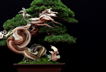 Những tác phẩm Bonsai tuyệt vời